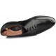 TROTTERS COMPEY NEGRO  NEGRO