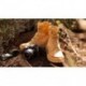 PANAMA JACK ROUTE BOOT REPORTER LAARZEN  VINTAGE_OCRE