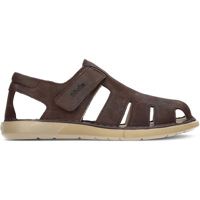 SANDALEN CALLAGHAN LEBAN 92311  MARRON