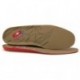 FLUCHOS ANATOMISCHE BINNENZOOL  BROWN