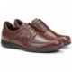 FLUCHOS 8498 LUCA AVE  CASTANO