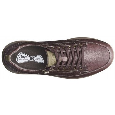 JEWEL BRUNO SNEAKERS  DARK_BROWN