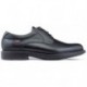 CALLAGHAN TORO CEDRONSCHOENEN  NEGRO
