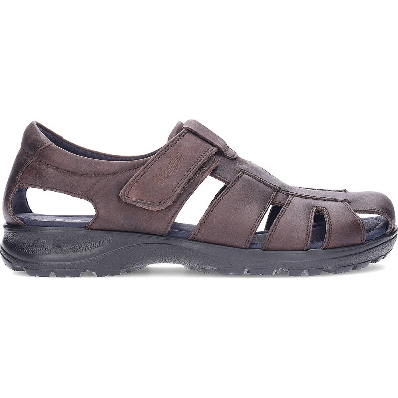 SANDALIAS CALLAGHAN SINATRA  MARRON
